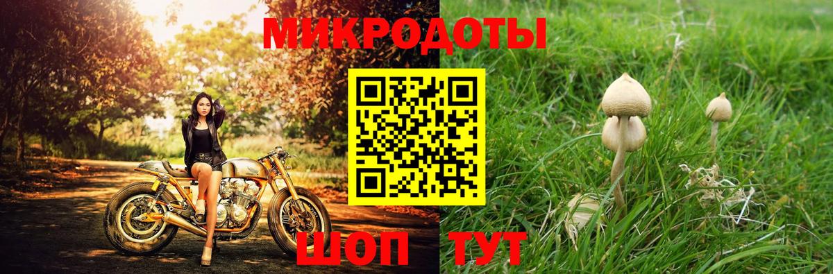 Псилоцибиновые грибы мицелий  Вход с VPN  Галлюциногенные грибы Psilocybe  Россошь 